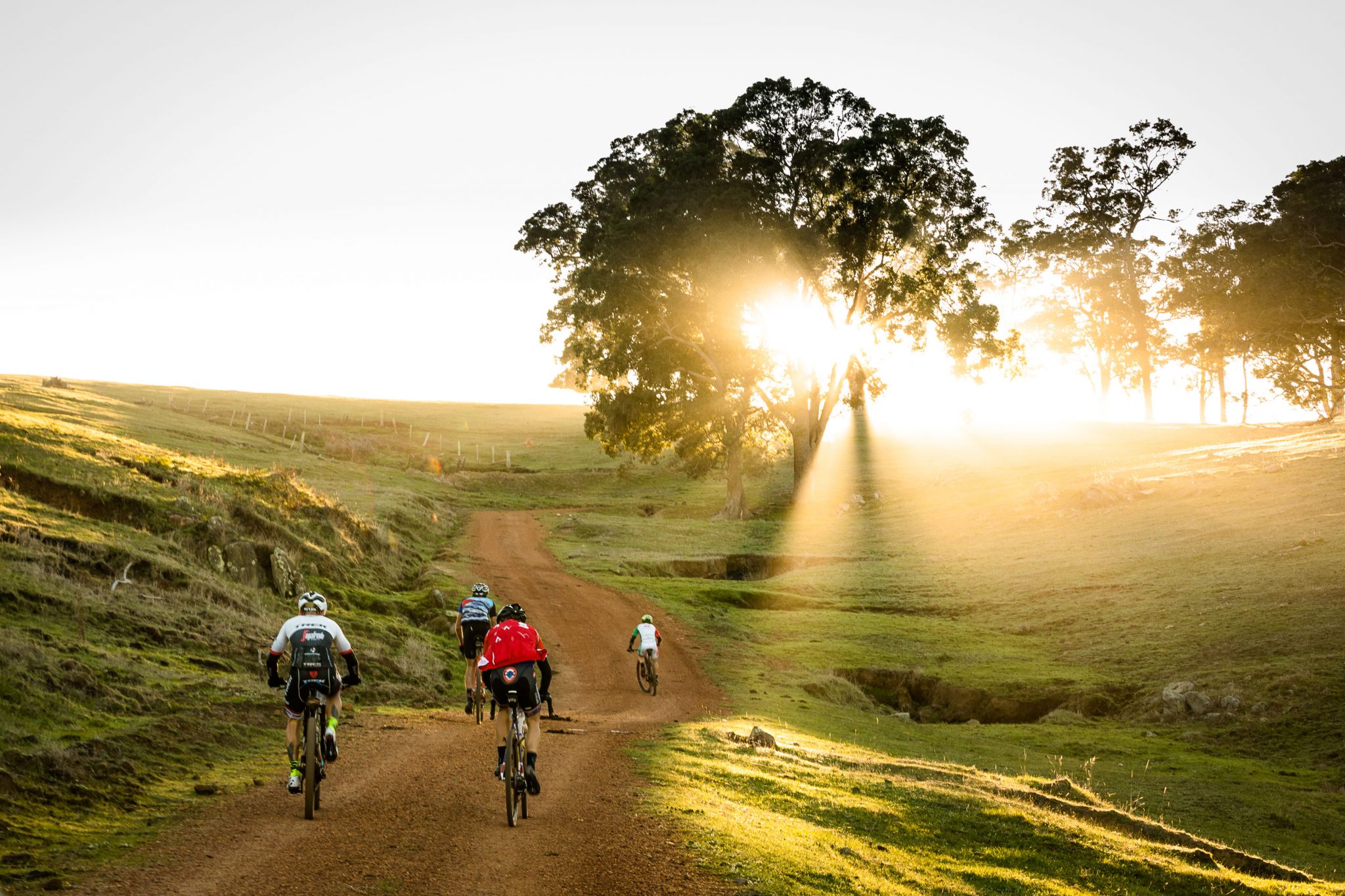 seven mtb race