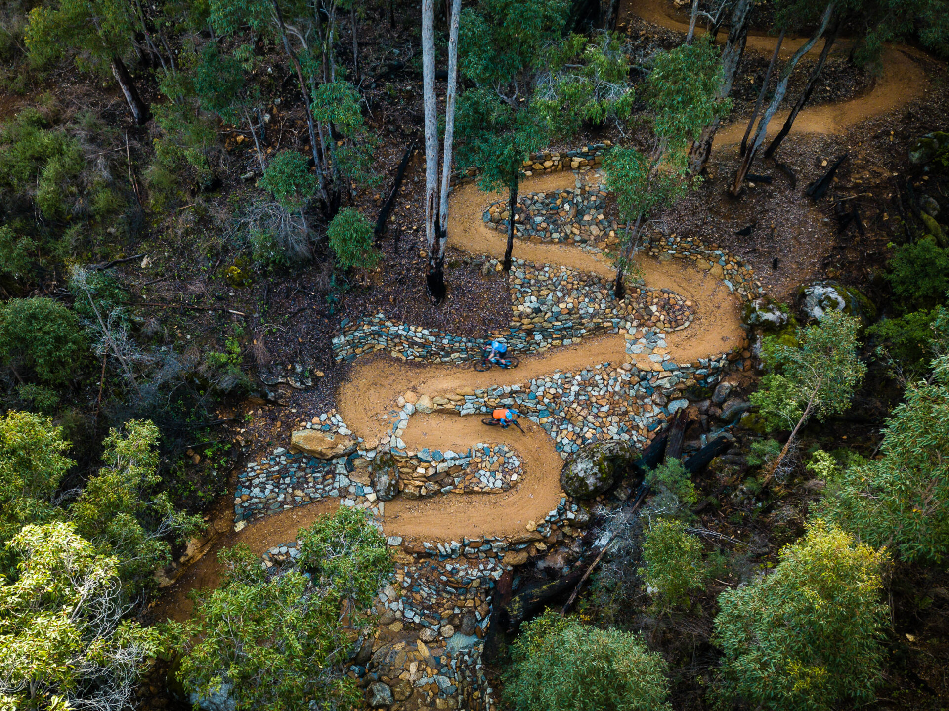 Wellington 2024 bike park